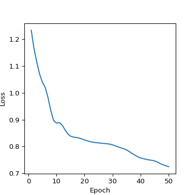 Training loss curve